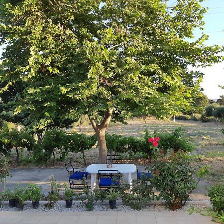 Villa Swan House Panoramic View - Near The Sea à Zipárion Extérieur photo