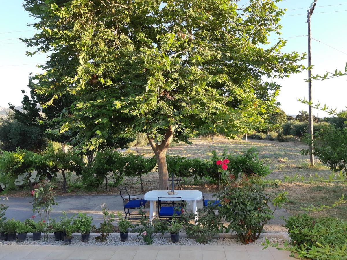 Villa Swan House Panoramic View - Near The Sea à Zipárion Extérieur photo