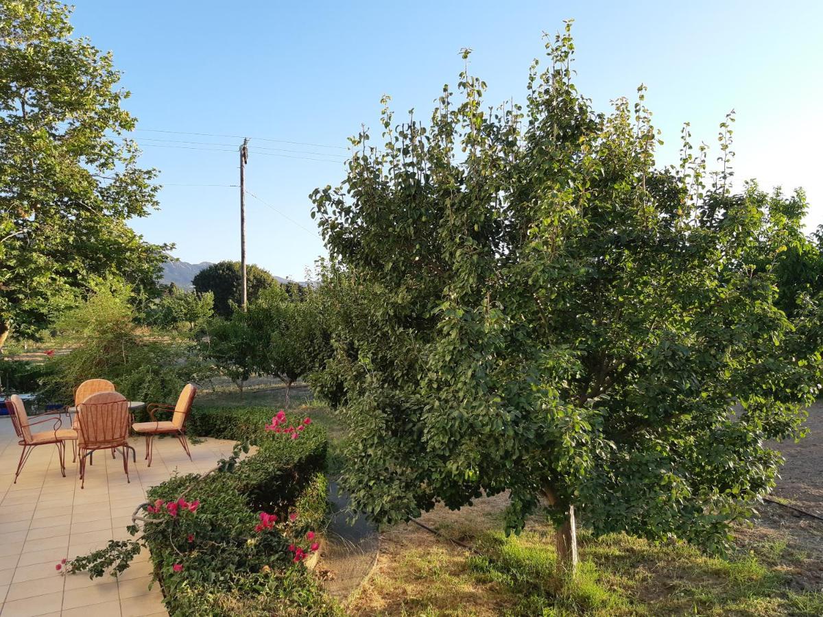 Villa Swan House Panoramic View - Near The Sea à Zipárion Extérieur photo